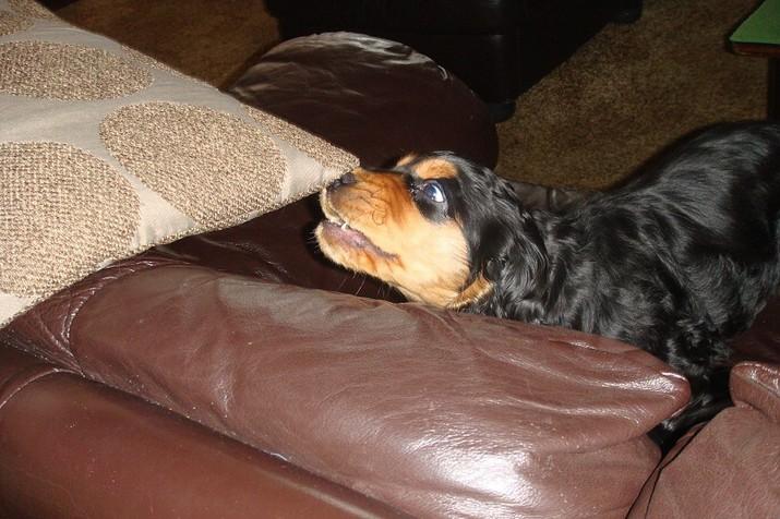 Art_25.1.2010 (3).JPG